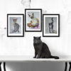 Серия картин кошки.