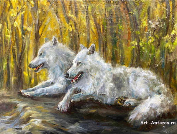 Белые волки.